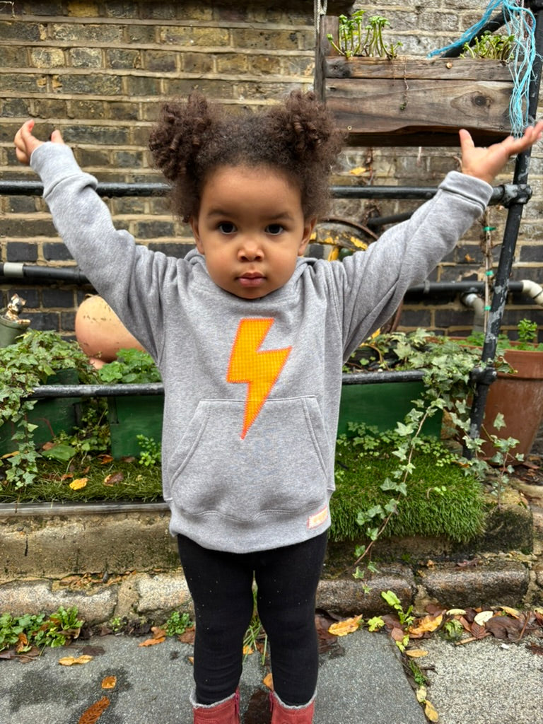 grey organic cotton embroidered hoody