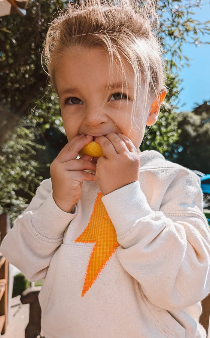 organic cotton embroidered hoody